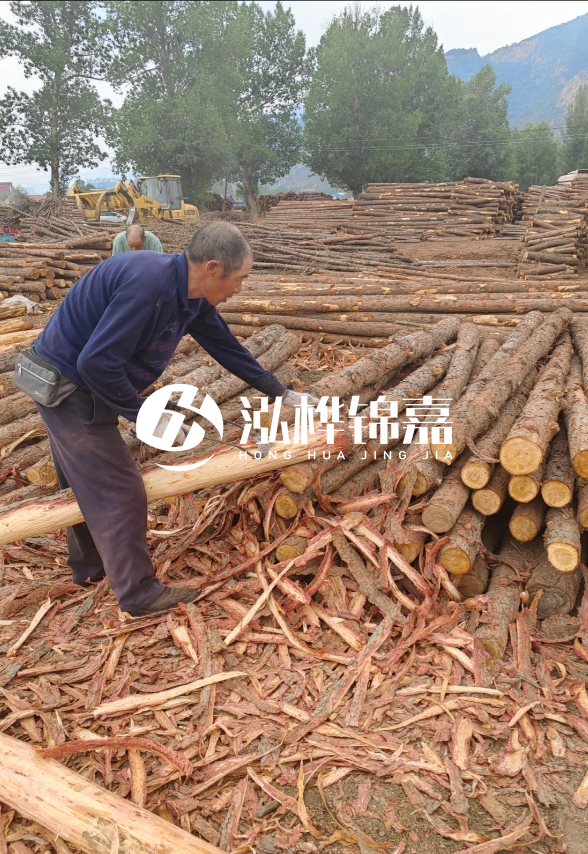 九江河底清理淤泥施工隊-河道清淤85元一方能干嗎？