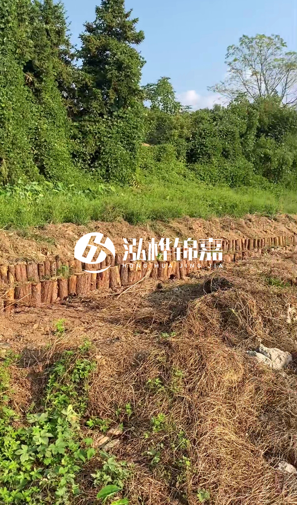 許昌河道清淤專(zhuān)業(yè)施工-河道污水治理要多長(zhǎng)時(shí)間？