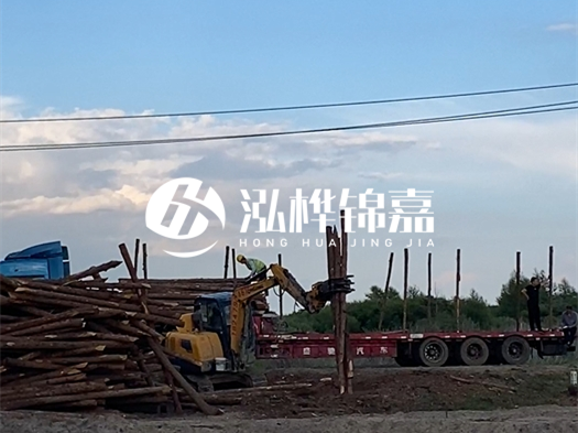 河北打樁木源頭廠家泓樺錦嘉 - 北方常用打樁木是什么？