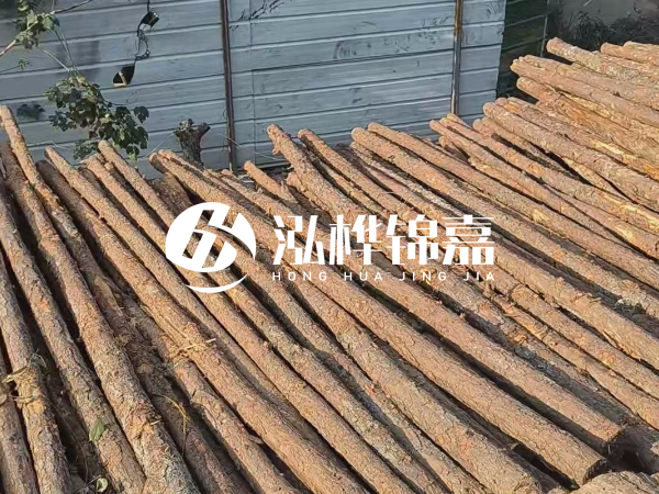松木樁打樁后清淤怎么處理？有沒有全包的公司？