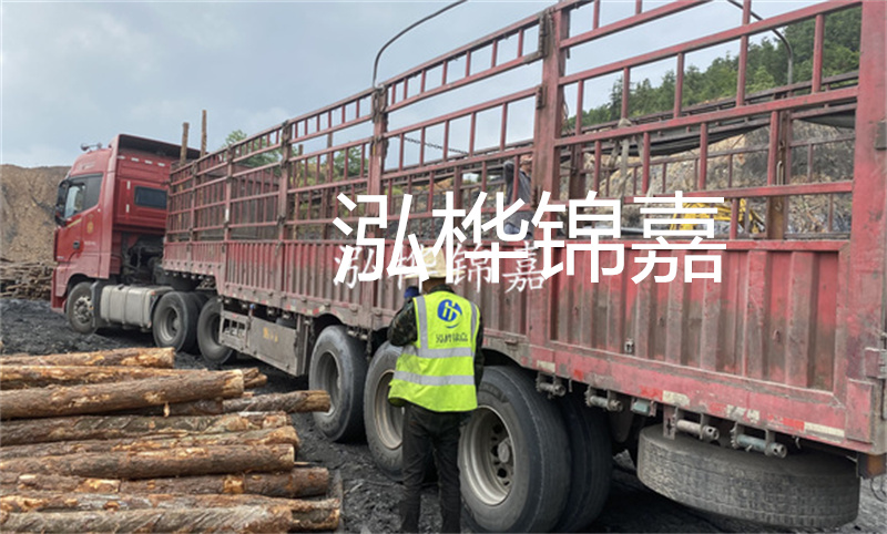 定安河道仿松木樁施工，打造環(huán)保生態(tài)水域